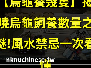 烏龜養三隻