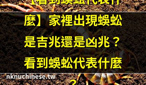 【看到蜈蚣代表什麼】家裡出現蜈蚣是吉兆還是凶兆？看到蜈蚣代表什麼？｜見到蜈蚣代表什麼徵兆