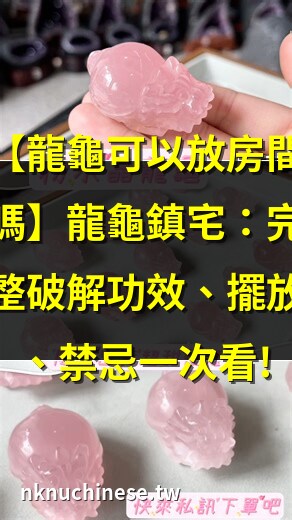 龍龜可以放幾隻