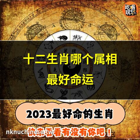 12生肖，屬什麼最好命 ？（精準）｜最好命的生肖屬相 哪個生肖的命運是最好的