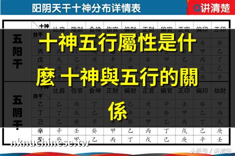 八字入門之十神含義類象詳解｜八字十神詳解：深度剖析