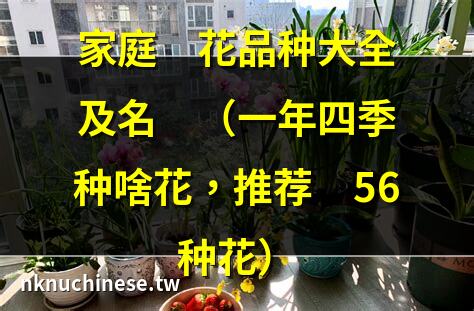 家庭養花品種大全及名稱（一年四季種啥花，推薦這56種花）｜家庭養花大全及方法（25種家庭常見花卉養護技巧）