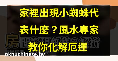 【房間為什麼有蜘蛛】連掉落一根頭髮都有人看到!原來房間有蜘蛛是因為…｜家裡出現小蜘蛛代表什麼？風水專家教你化解厄運