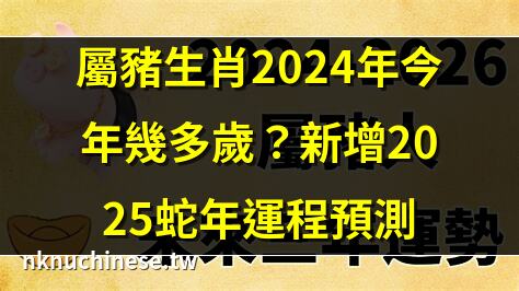 屬豬生肖2024年今年幾多歲？新增2025蛇年運程預測｜2024屬豬虛歲幾歲？解析：屬豬2024年運勢與年齡預測