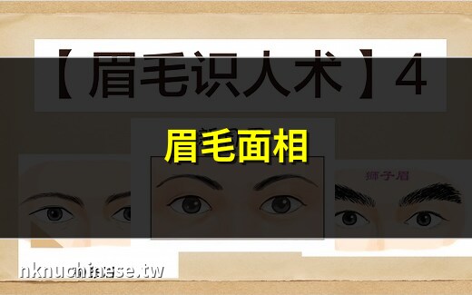 眉 性格