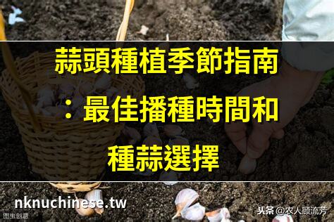 2025年種蒜日記：小白也能輕鬆學會怎麼種植大蒜，附詳細步驟及注意事項!!｜種蒜得蒜