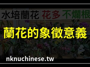 蘭花 意思