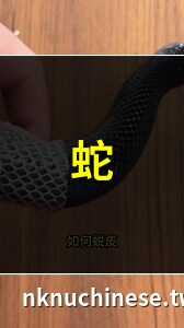 蛇住