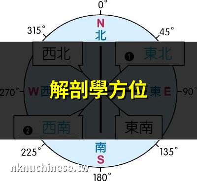 解剖學方位｜反方位角是什麼？