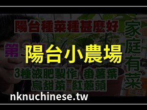 陽台種菜箱