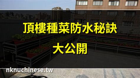 防漏水種菜最佳方案｜如何做頂樓防水？