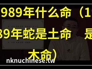 1989五行属什么